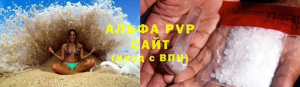 МДПВ Ельня