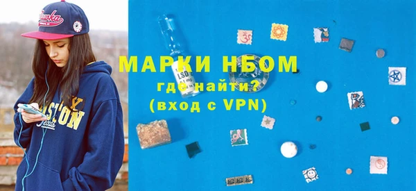 индика Елабуга