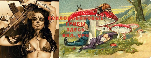 МДПВ Ельня