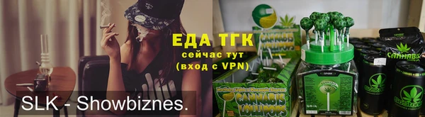 МДПВ Ельня