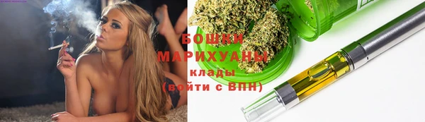 индика Елабуга