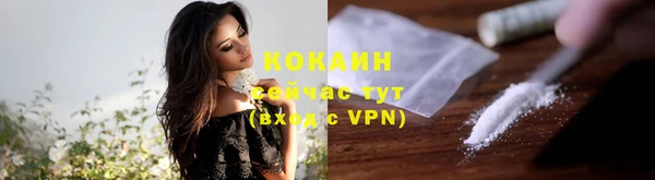 дурь Елизово