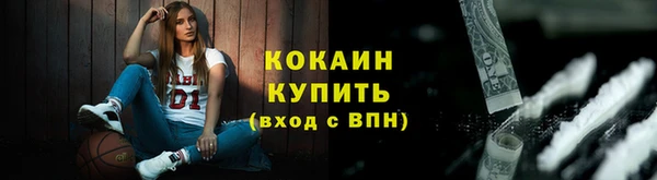 индика Елабуга