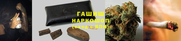 индика Елабуга