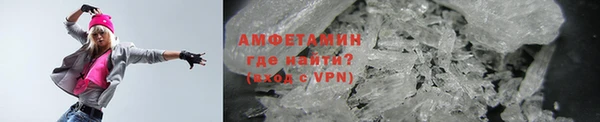 индика Елабуга