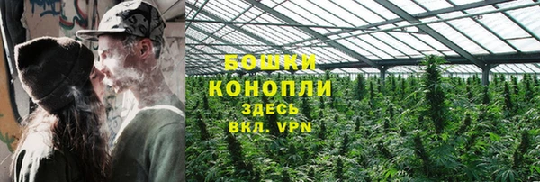 индика Елабуга