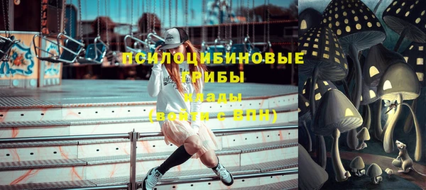 индика Елабуга