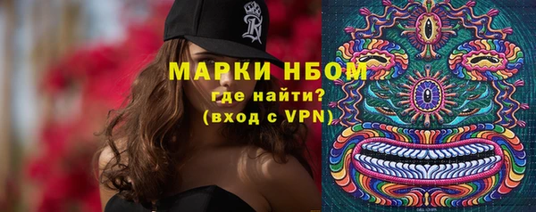 МДПВ Ельня