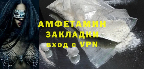 индика Елабуга