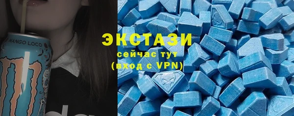 МДПВ Ельня