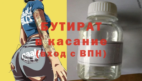 индика Елабуга