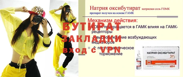 индика Елабуга