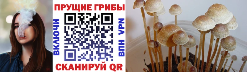 Галлюциногенные грибы GOLDEN TEACHER  Купить  Карталы 
